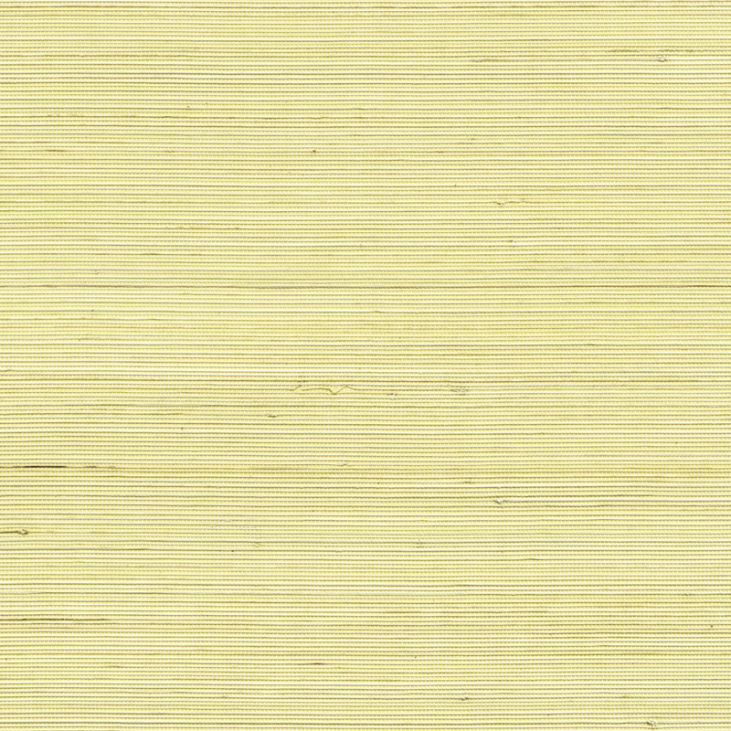 Coiba RM110/60