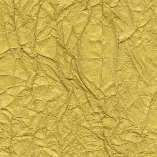 Splendeurs d'une favorite RM221/21