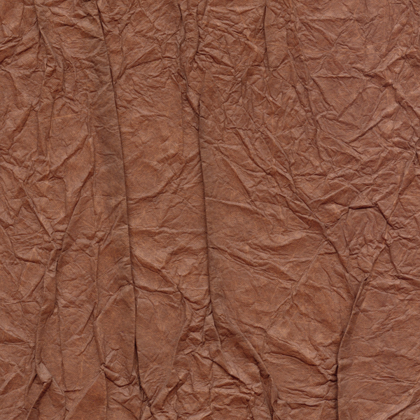 Splendeurs d'une favorite RM221/35