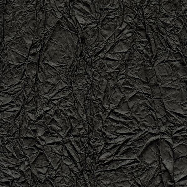 Splendeurs d'une favorite RM221/80