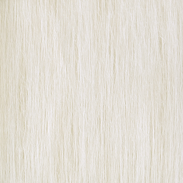 L'épure s'impose RM606/04