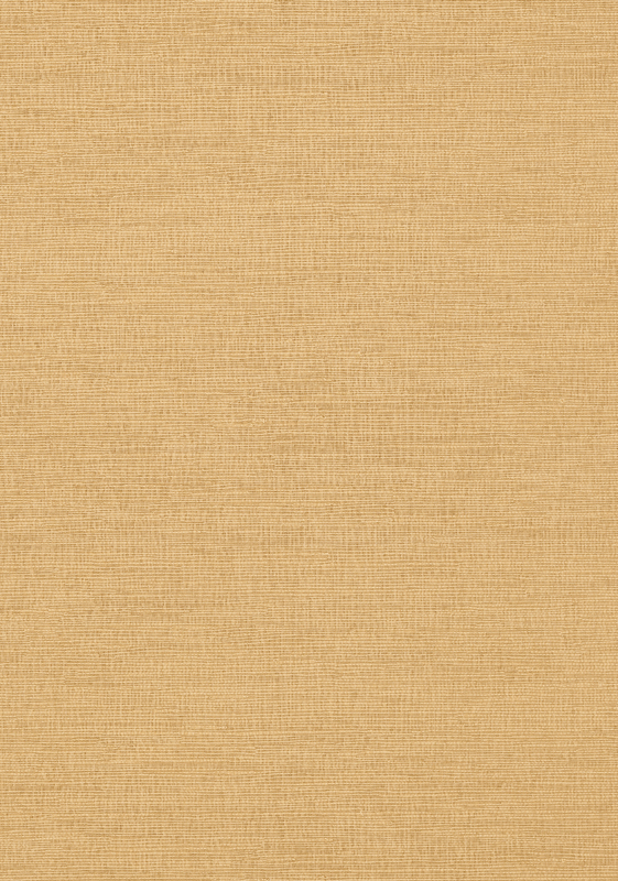 COASTAL SISAL T14105