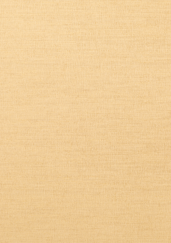 COASTAL SISAL T14106