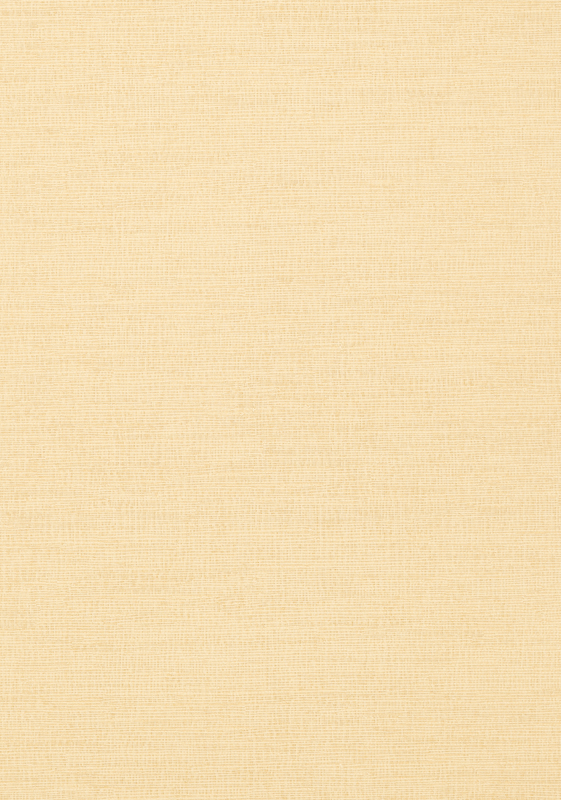 COASTAL SISAL T14107