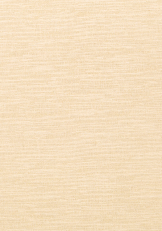 COASTAL SISAL T14108