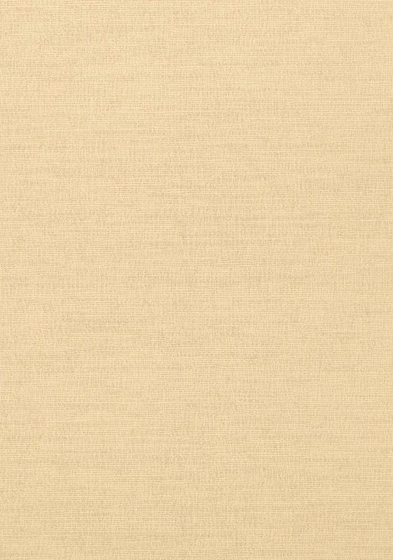 COASTAL SISAL T14109
