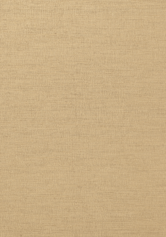 COASTAL SISAL T14110
