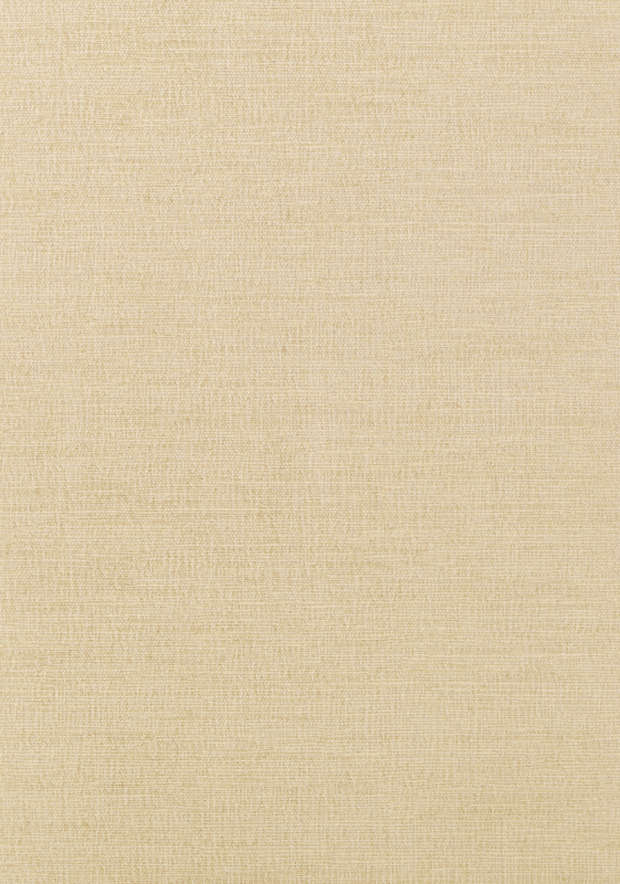 COASTAL SISAL T14111