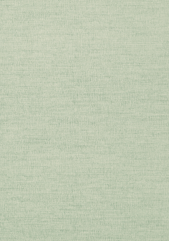 COASTAL SISAL T14112