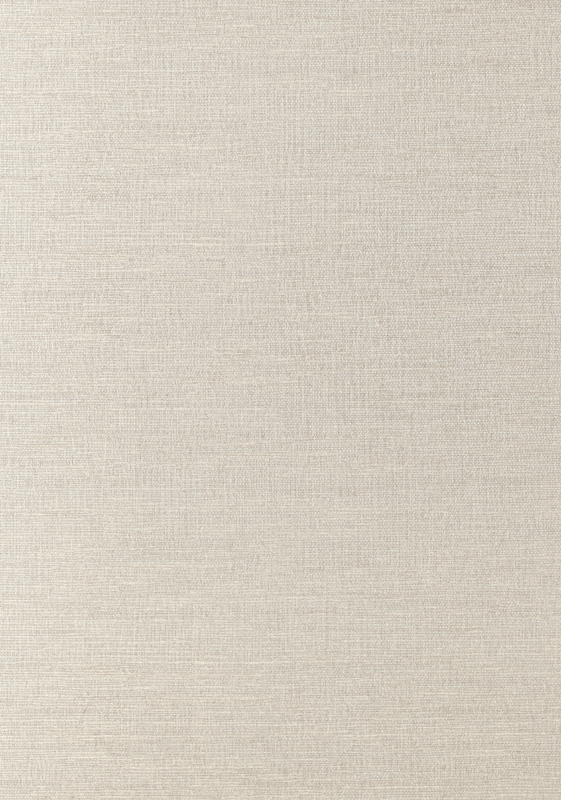 COASTAL SISAL T14115