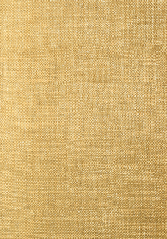 BANKUN RAFFIA T14133