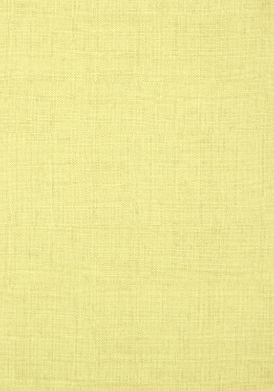 BANKUN RAFFIA T14142