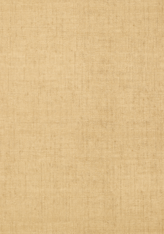 BANKUN RAFFIA T14147