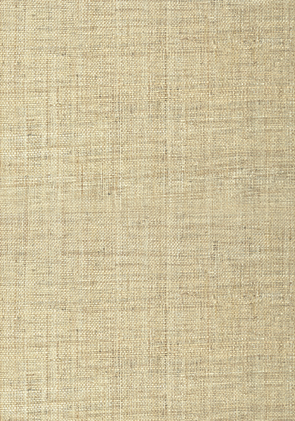 PEARL BAY T41107