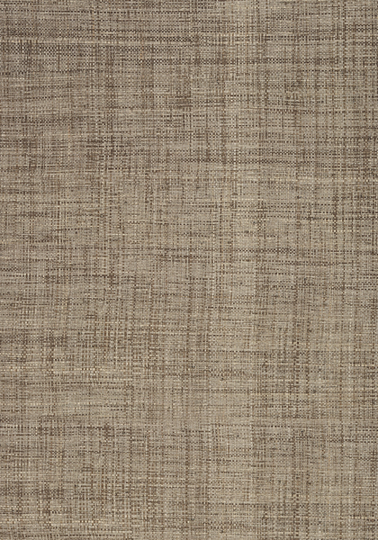 CAROLINA RAFFIA T41122