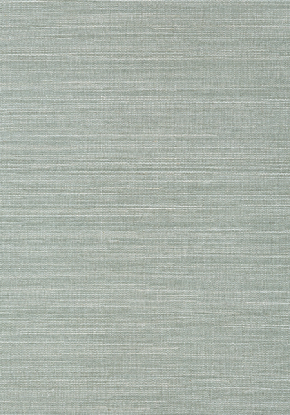 SHANG EXTRA FINE SISAL T41168