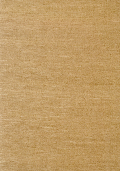 SHANG EXTRA FINE SISAL T41172