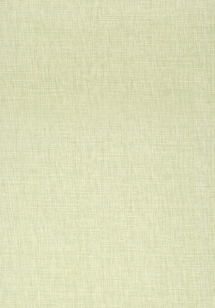REGATTA RAFFIA T41187