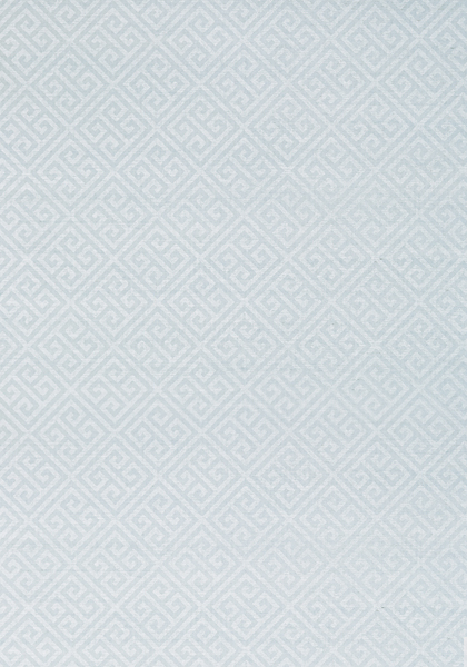 MAZE GRASSCLOTH T41194