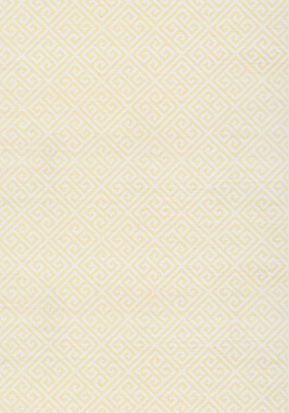 MAZE GRASSCLOTH T41197