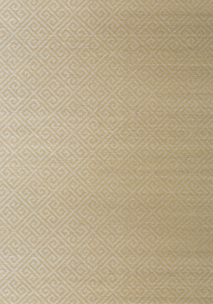 MAZE GRASSCLOTH T41198