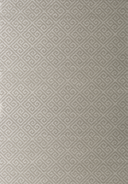 MAZE GRASSCLOTH T41199