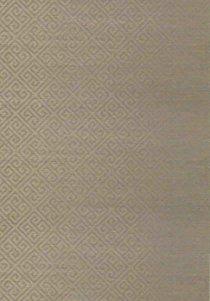MAZE GRASSCLOTH T41200
