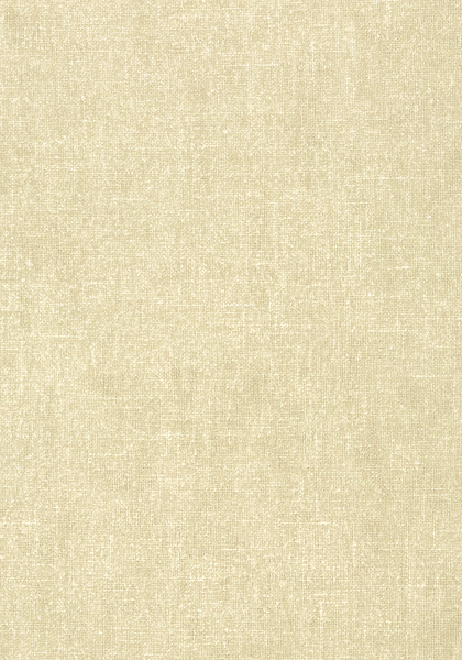BELGIUM LINEN T57121