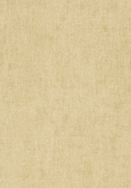 BELGIUM LINEN T57122