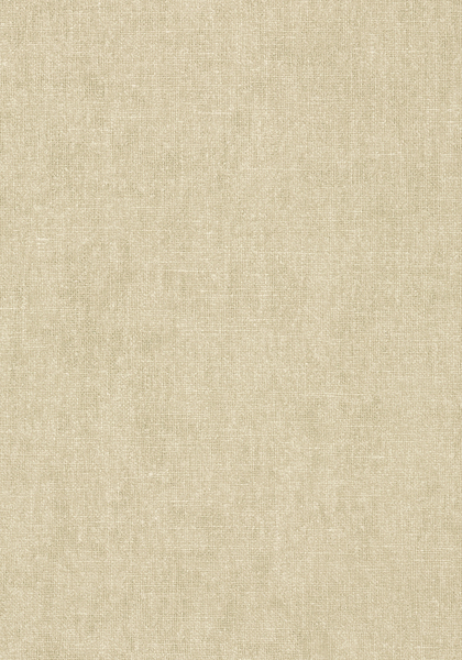BELGIUM LINEN T57125