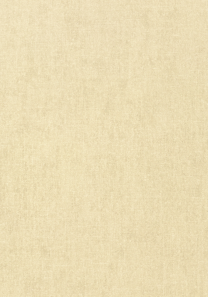 BELGIUM LINEN T57127