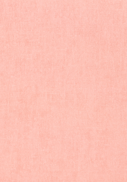 BELGIUM LINEN T57130