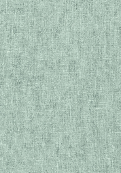 BELGIUM LINEN T57134