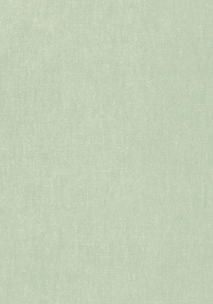 BELGIUM LINEN T57136