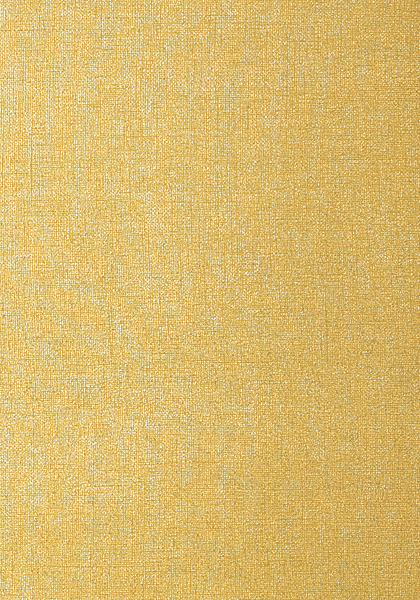 BELGIUM LINEN T57139