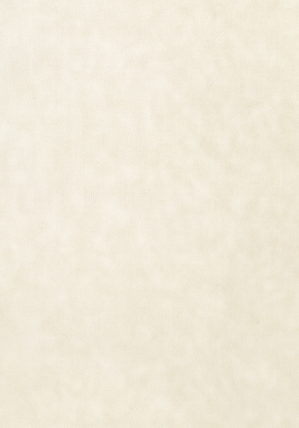 WESTERN LEATHER T57158