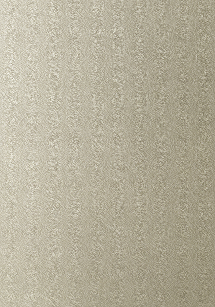 WESTERN LEATHER T57159