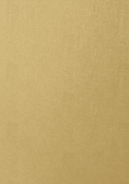 WESTERN LEATHER T57161