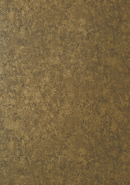 FAUX TORTOISE T57167