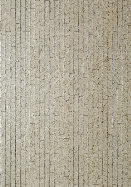 MOTHER OF PEARL T57178