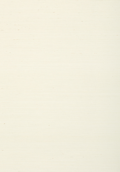 SHANG EXTRA FINE SISAL T72831