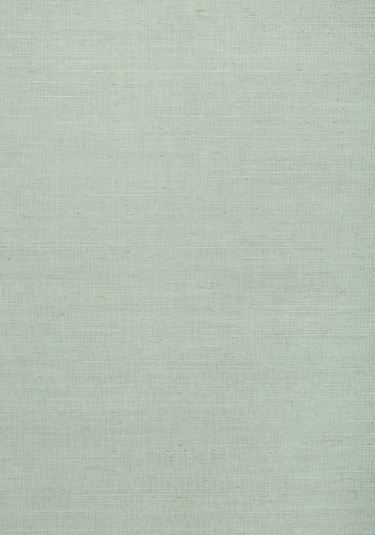 SHANG EXTRA FINE SISAL T72834