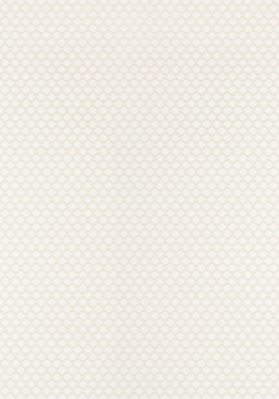 BIJOU T75504