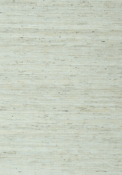 MARANTA ARROWROOT T85003