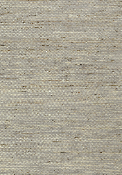 MARANTA ARROWROOT T85005