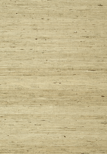 MARANTA ARROWROOT T85006