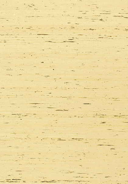 MARANTA ARROWROOT T85007