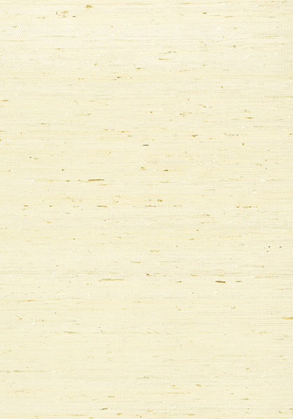 MARANTA ARROWROOT T85008