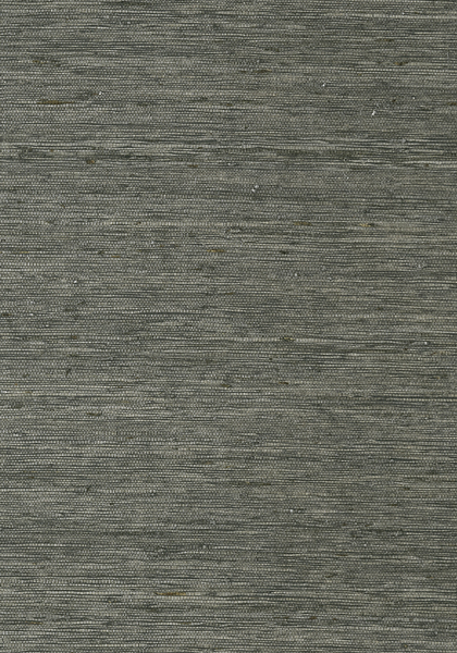 MARANTA ARROWROOT T85009