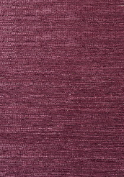 MARANTA ARROWROOT T85011